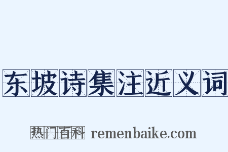 东坡诗集注近义词是什么意思的图片
